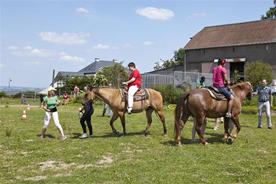 Horse-riding camp in Hosingen for children and young persons, (9 - 15 June 2014)