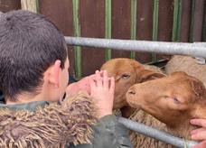 Colonie pour enfants. Thème  : Animaux