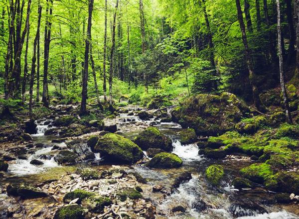 Séjour Adultes : Aventures